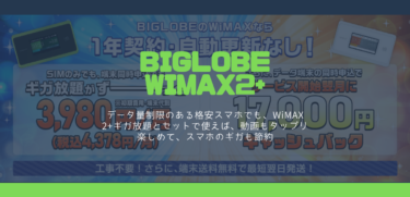 口座振替で申し込みたいなら「BIGLOBE WiMAX 2+」